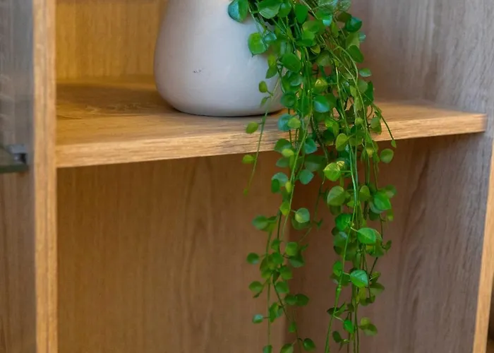 Marin Lägenhet Split